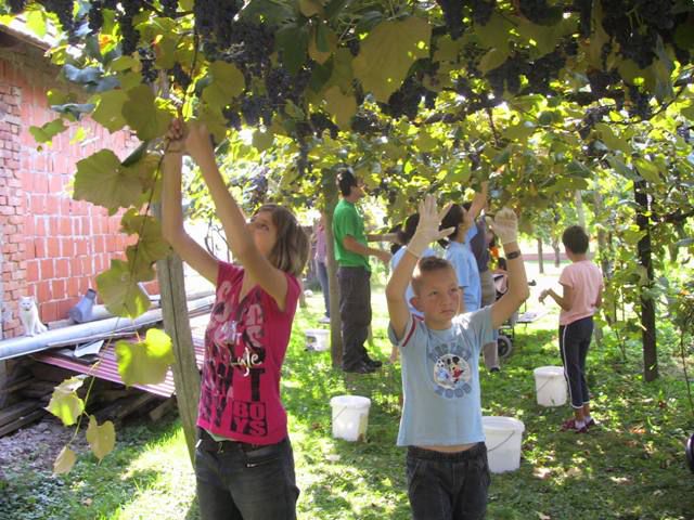 DEJAVNOSTI V ŠOLSKEM LETU 2011-2012 - foto