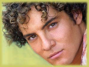 DAVID BISBAL - DAVID BISBAL  - foto povečava