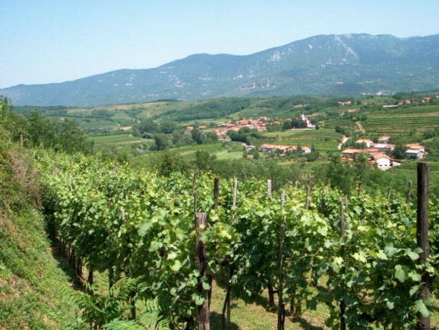 Vrt z razgledom na Zalošče in dolino reke Vipave