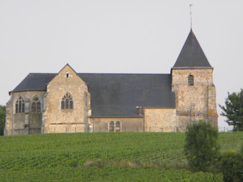Cerkvica med vinogradi