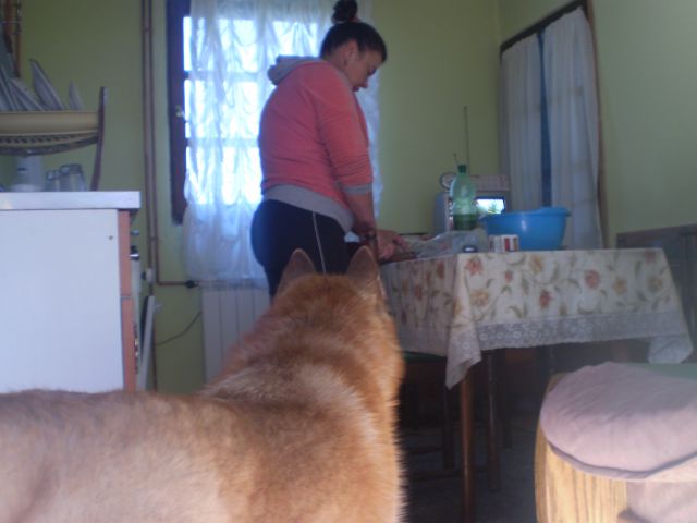 Pak - foto