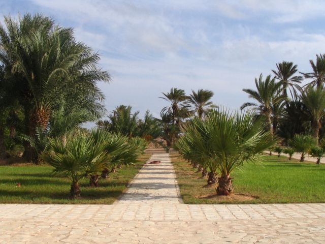 Tunizija - Djerba 2005 - foto