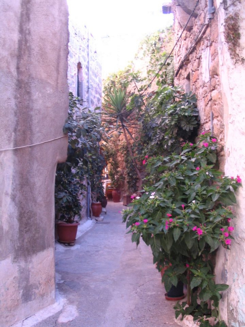 Grčija-Chios 2011 - foto