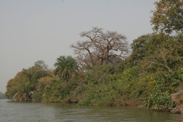 Gambija 2 - foto