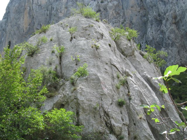 Starigrad-Paklenica 2012 - foto