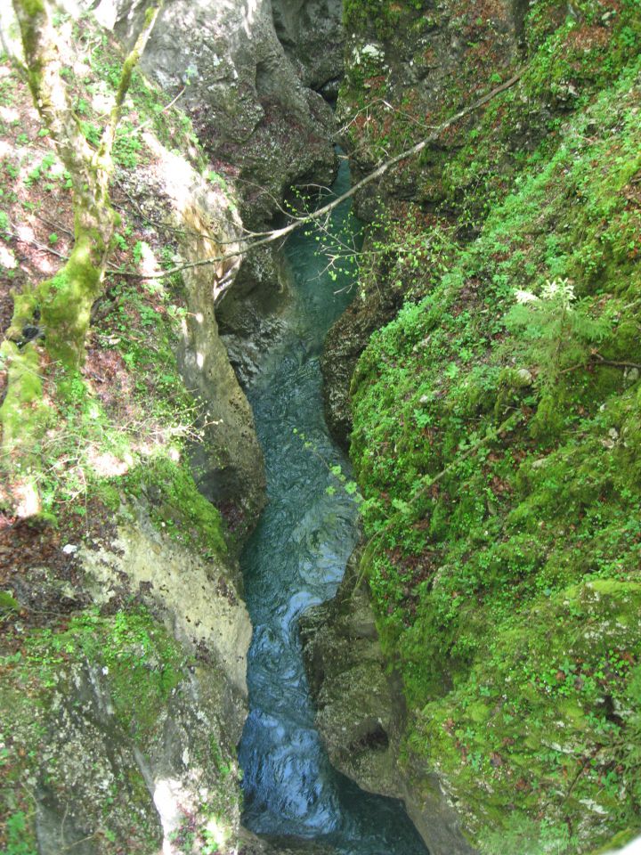 Bohinj2013 - foto povečava