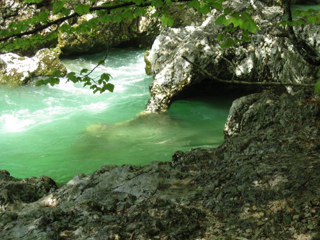 Bohinj2013 - foto