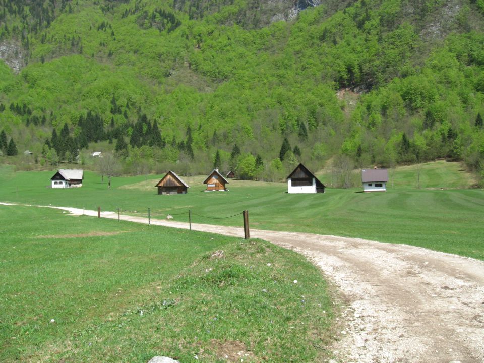 Bohinj2013 - foto povečava