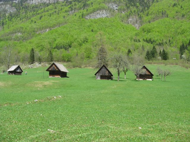 Bohinj2013 - foto