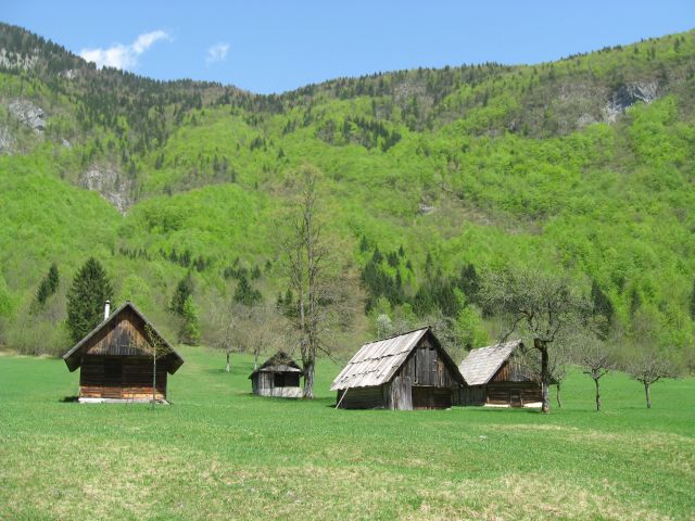 Bohinj2013 - foto