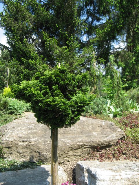 Arboretum Volčji potok - foto