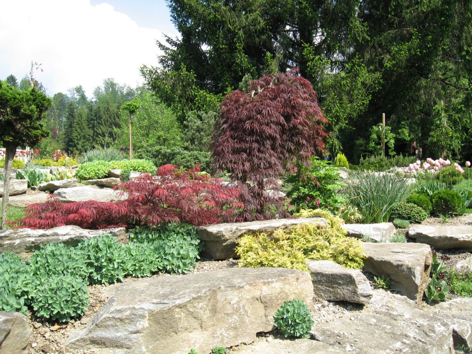 Arboretum Volčji potok - foto povečava