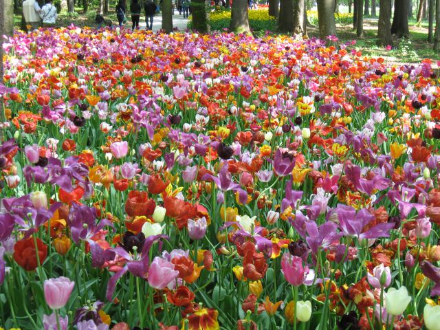 Arboretum Volčji potok - foto