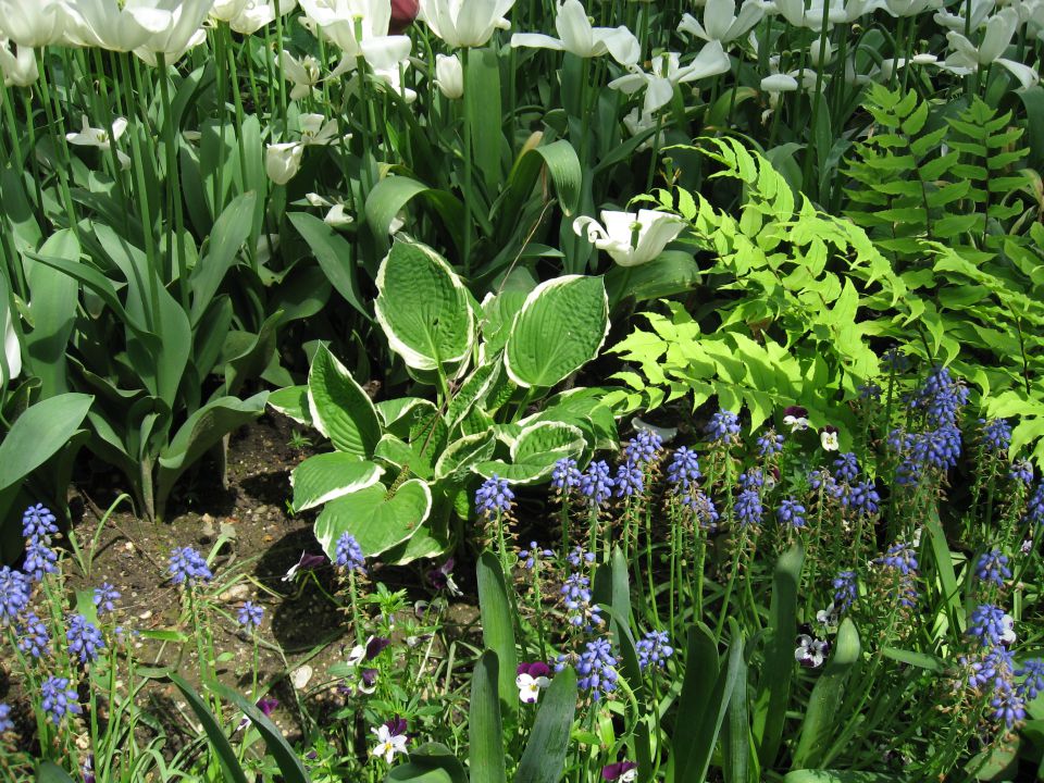 Arboretum Volčji potok - foto povečava