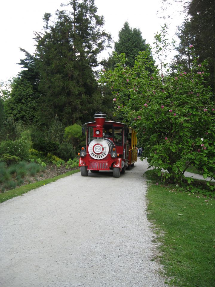 Arboretum Volčji potok - foto povečava