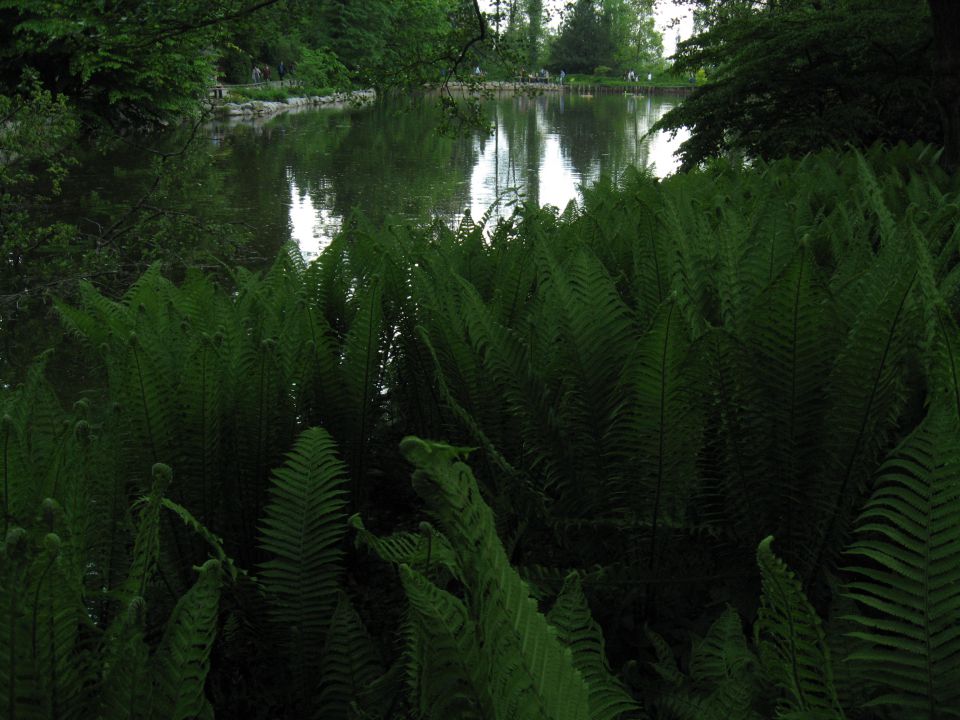 Arboretum Volčji potok - foto povečava
