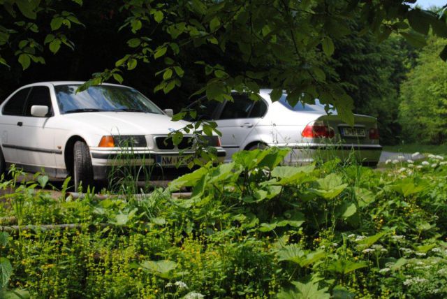 PIKNIK BMW DOLENJSKA - foto