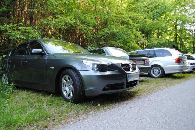 Piknik BMW Dolenjska 2012 - foto