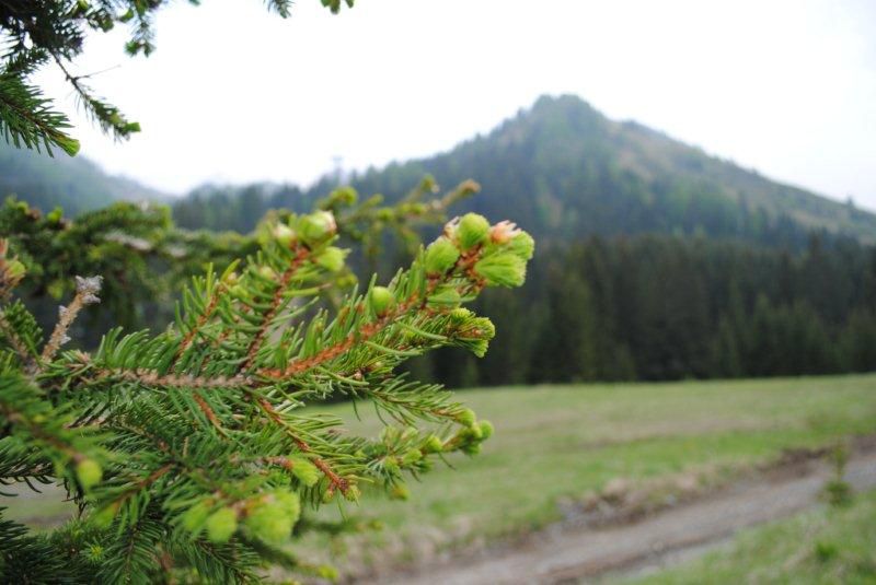 BMWslo Dolomiti 2012 (non ///M) predogled - foto povečava