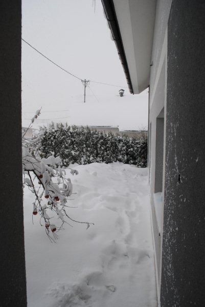 Sneg 2012/2013 - foto