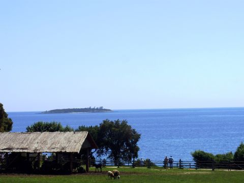 Ta mal dopust - foto povečava