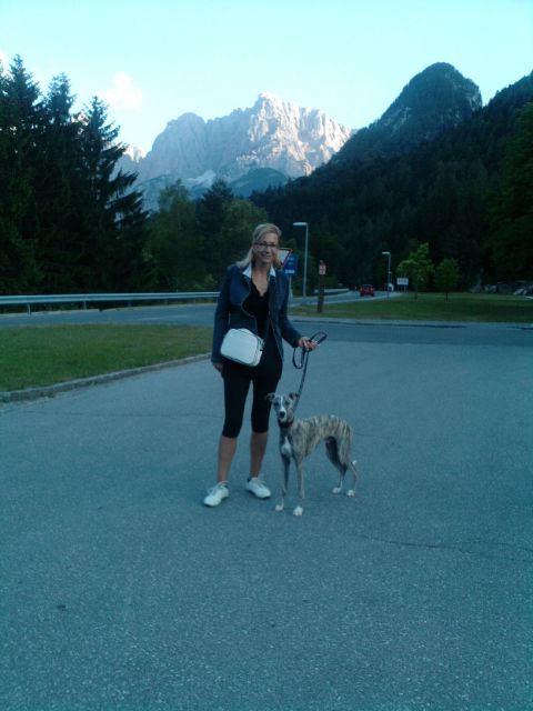 Kranjska gora - foto