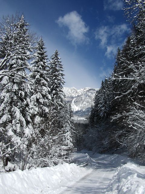 Zimska Solčava z okolico - foto