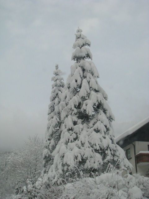Zimska Solčava z okolico - foto