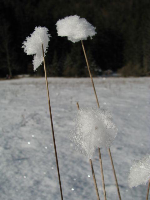 Zimska Solčava z okolico - foto