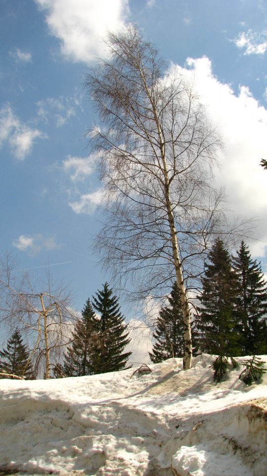 Zimska Solčava z okolico - foto povečava