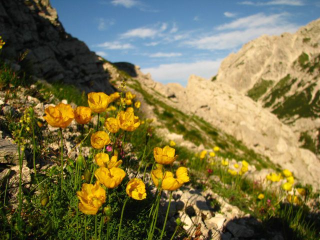 Molička peč, Korošica in Ojstrica - foto