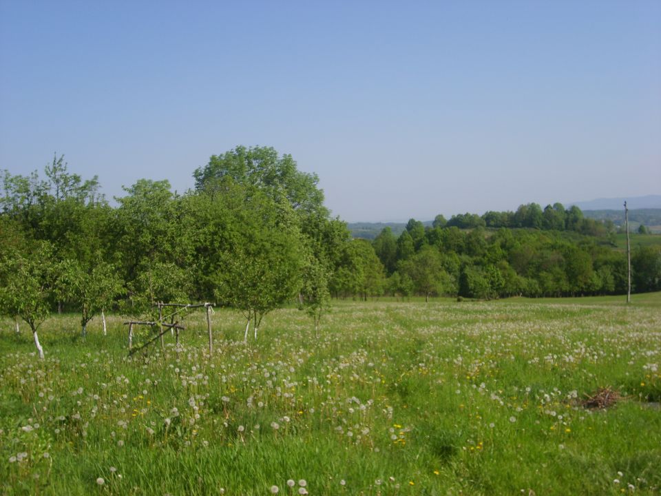 TAJRA ZA PRVOMAJSKE PRAZNIKE U BOSNI 2012 - foto povečava