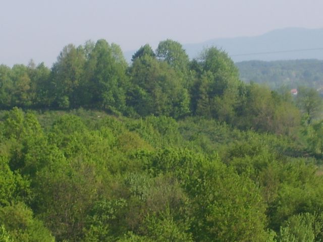 TAJRA ZA PRVOMAJSKE PRAZNIKE U BOSNI 2012 - foto