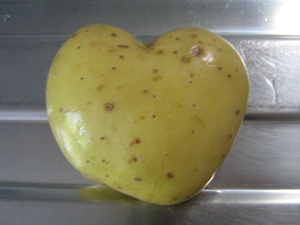 Srce krompir