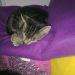 zzzzzzzzz.....