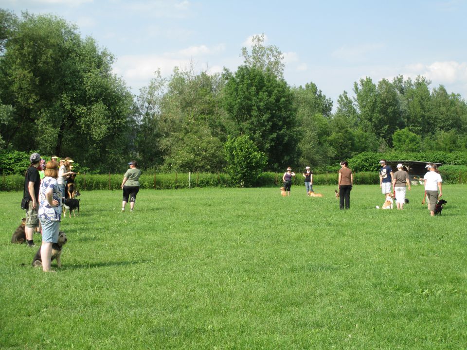 Piknik ob koncu šole - foto povečava