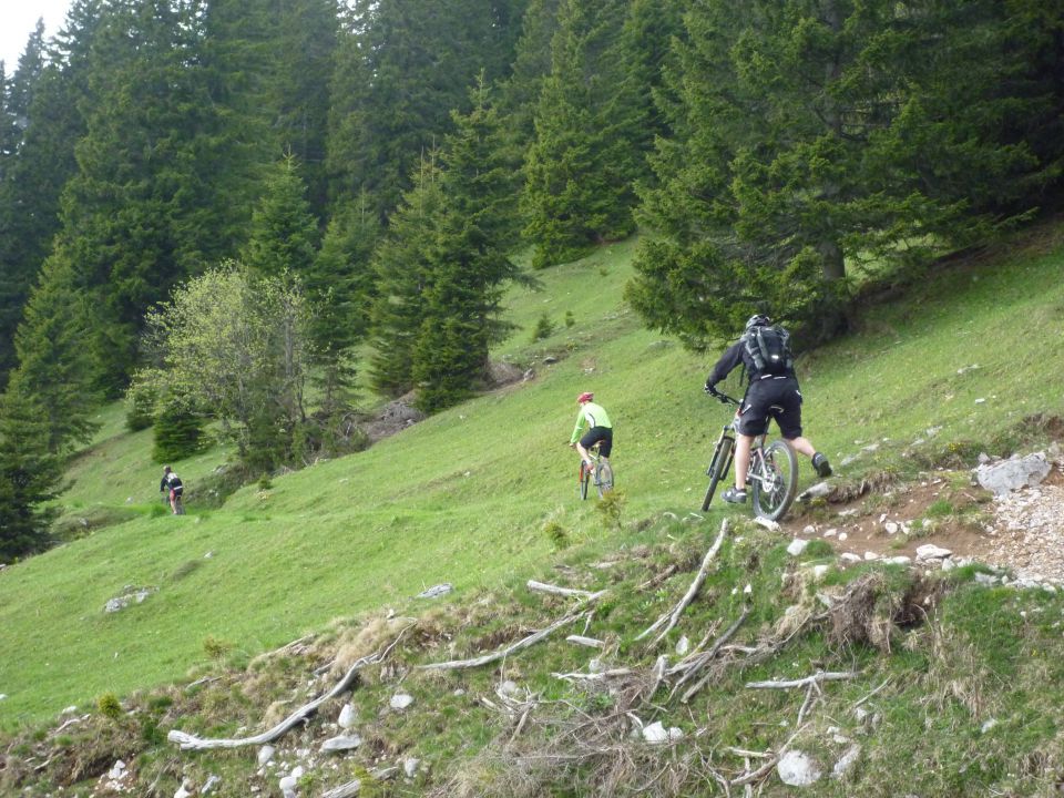 Dolga njiva Kofce 5/2011 - foto povečava