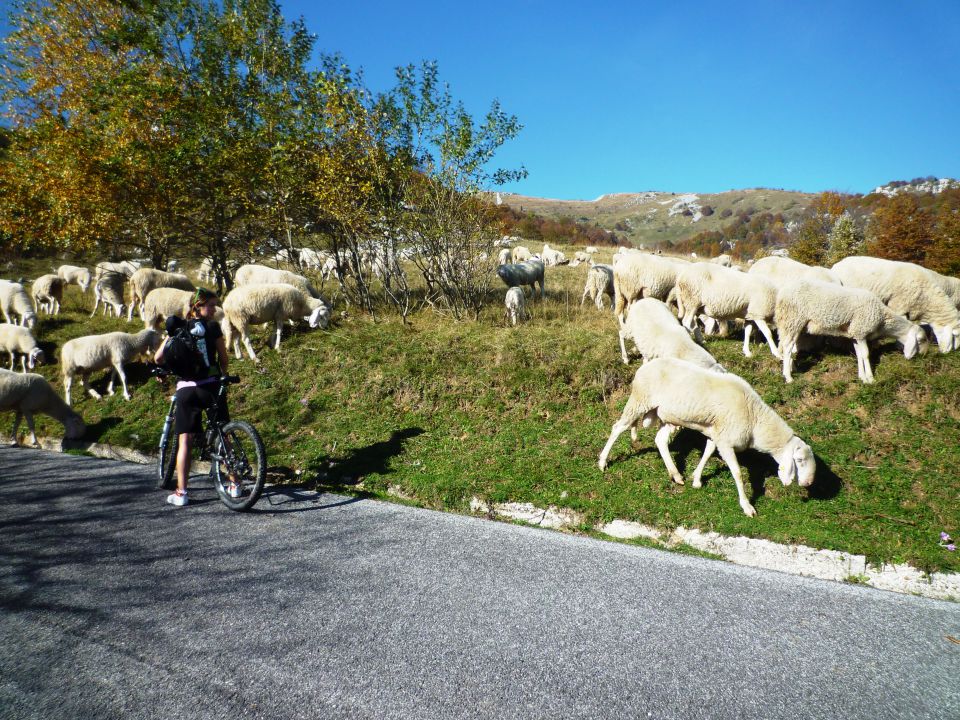 Matajur 2012 - foto povečava