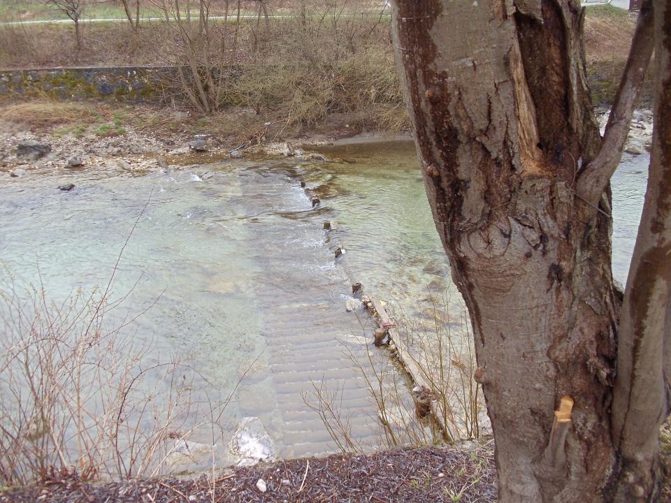 Ob Kamniški Bistrici - foto povečava