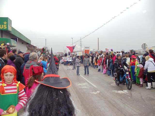 Pustni karneval 'Striček' na Viru - foto