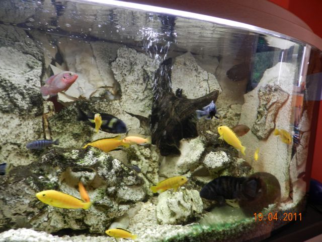 240l akvarij - foto