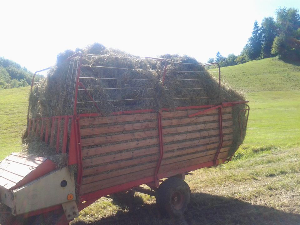 Košnja 2012 - foto povečava