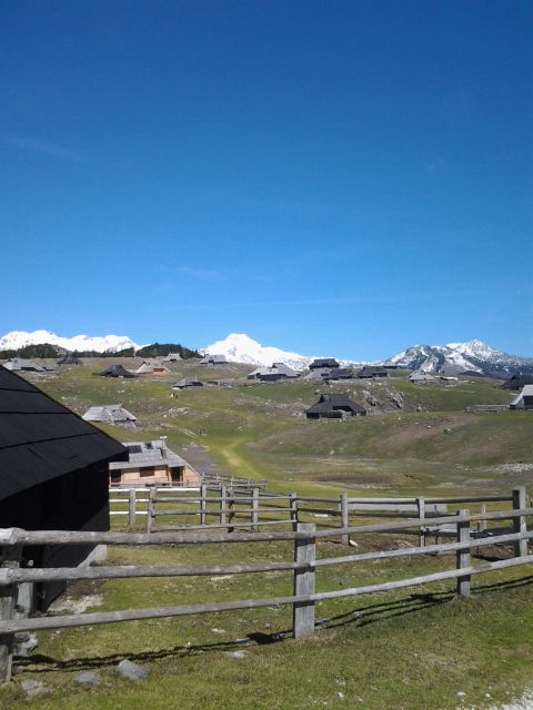 Velika planina - foto