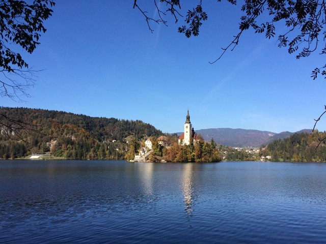 BLED - foto