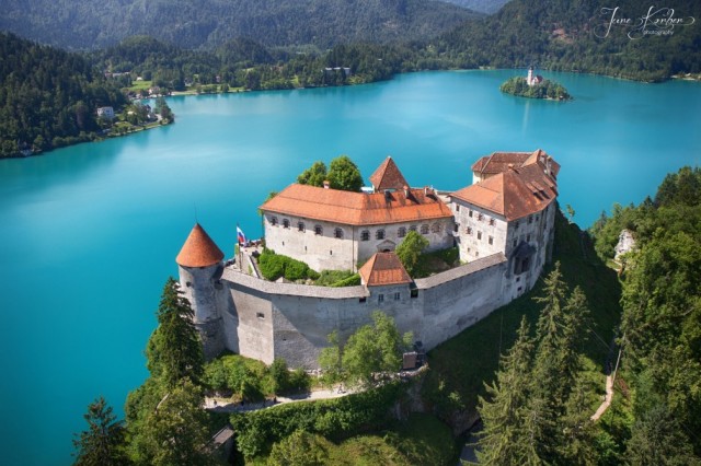 BLED - foto