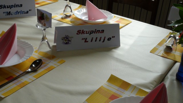 CEKINČKI 2014 - foto