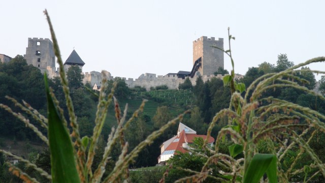 CELJE - foto