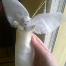 angel iz blaga