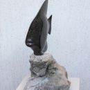 Riba 1