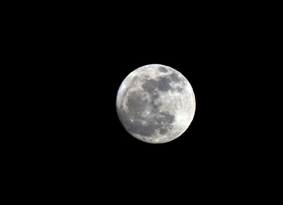 Polna luna